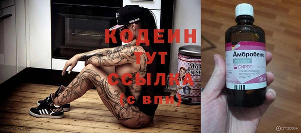 эйфоретик Алзамай