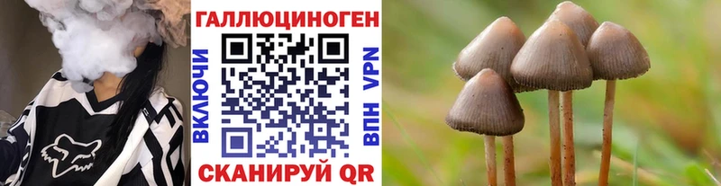продажа наркотиков  Артём  Псилоцибиновые грибы Psilocybine cubensis 